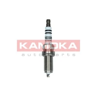 Spark plug