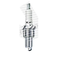 Spark plug