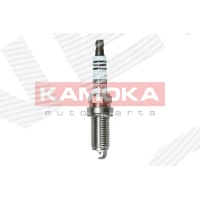 Spark plug