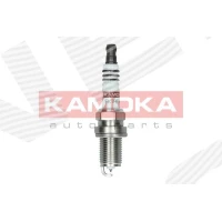 Spark plug