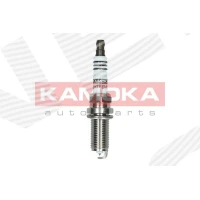 Spark plug