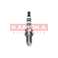 Spark plug