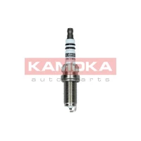 Spark plug