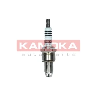 Spark plug