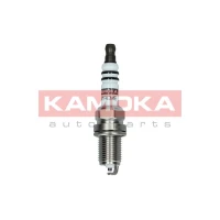 Spark plug