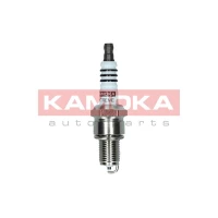 Spark plug