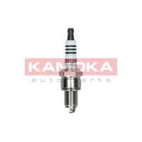 Spark plug