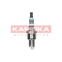 Spark plug