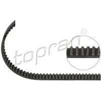 Timing belt