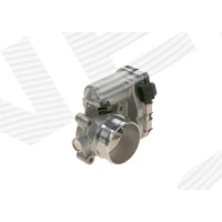 Throttle body valve