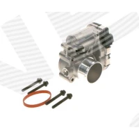 Throttle body valve