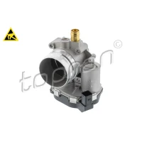 Throttle body valve