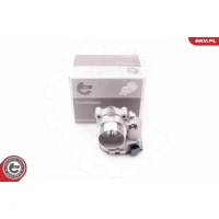 Throttle body valve