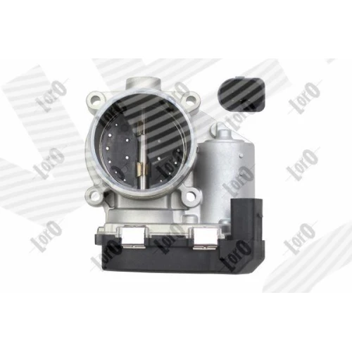 THROTTLE BODY VALVE - 1