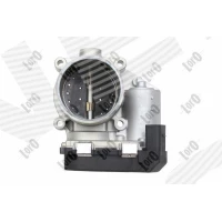 Throttle body valve