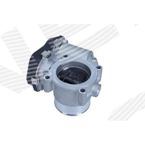 THROTTLE BODY VALVE - 1