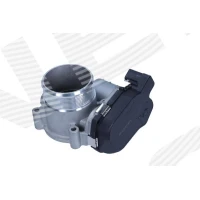 Throttle body valve