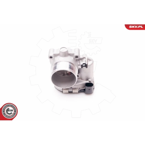 THROTTLE BODY VALVE - 1