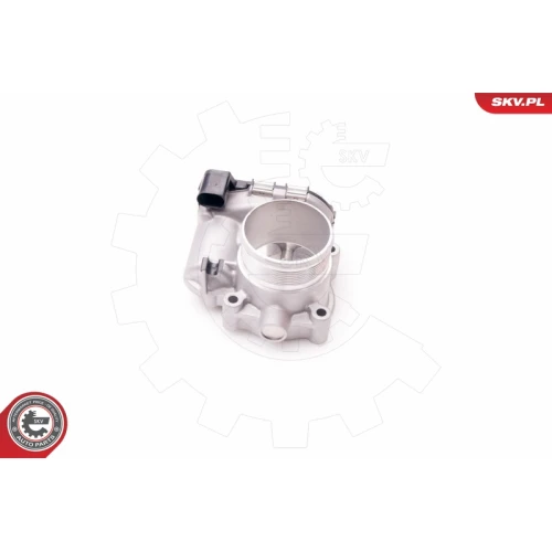 THROTTLE BODY VALVE - 3