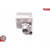 Throttle body valve