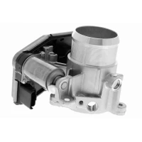 Throttle body valve