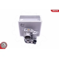 Throttle body valve