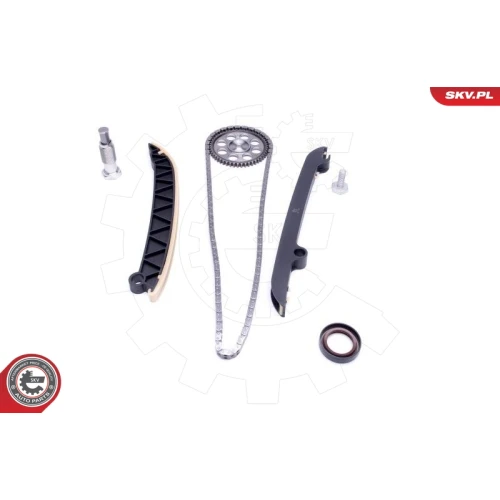 TIMING CHAIN KIT - 1