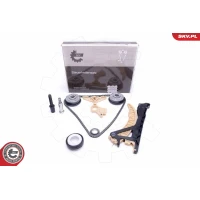 Timing chain kit