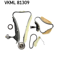 Timing chain kit