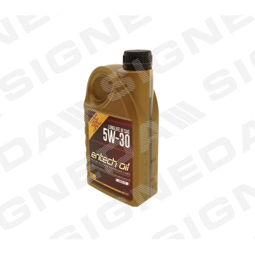 5W-30 ENGINE OIL - 2