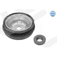 Top strut mount