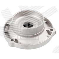 Top strut mount