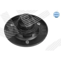 Top strut mount