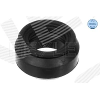 Top strut mount