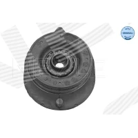 Top strut mount