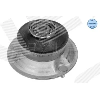 Top strut mount