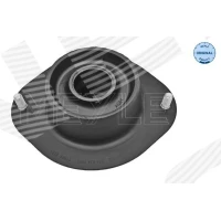 Top strut mount