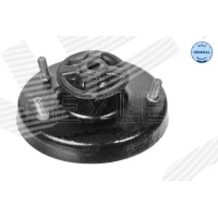 Top strut mount