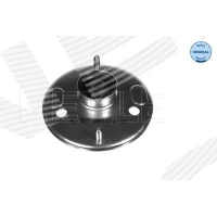 Top strut mount