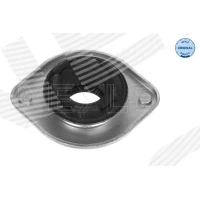 Top strut mount