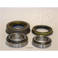 Wheel bearing kit