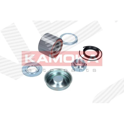 WHEEL BEARING KIT - 1