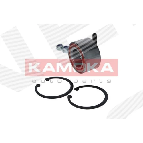 WHEEL BEARING KIT - 1