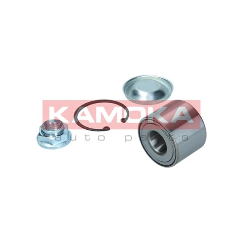 WHEEL BEARING KIT - 2