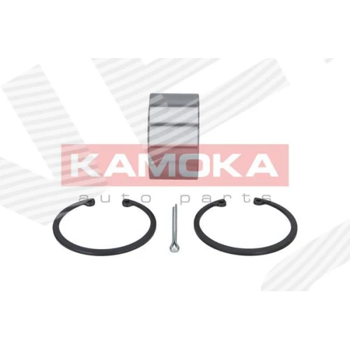 WHEEL BEARING KIT - 1