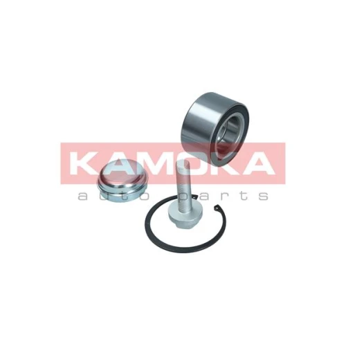 WHEEL BEARING KIT - 1