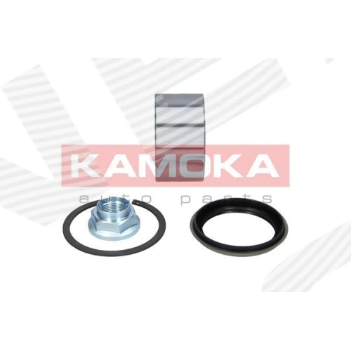 WHEEL BEARING KIT - 1