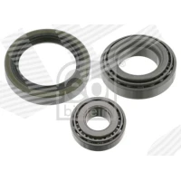 Wheel bearing kit