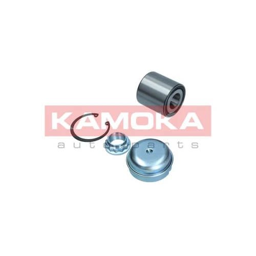 WHEEL BEARING KIT - 1