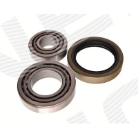 Wheel bearing kit